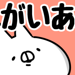 [LINEスタンプ] 【がいあ】専用