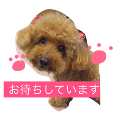 [LINEスタンプ] miyatahimeの画像（メイン）