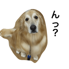 [LINEスタンプ] りんご④