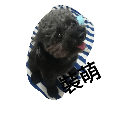 [LINEスタンプ] kuma＆chichiの画像（メイン）