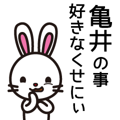 [LINEスタンプ] 亀井さんと亀井さんの友達専用