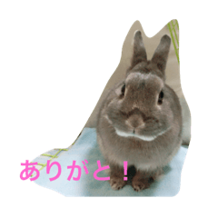 [LINEスタンプ] かけるの日常①