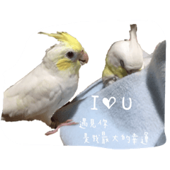 [LINEスタンプ] happy birds  life