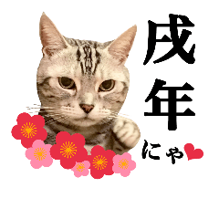 [LINEスタンプ] わんわんお正月