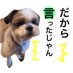 [LINEスタンプ] こじろーさんの日常