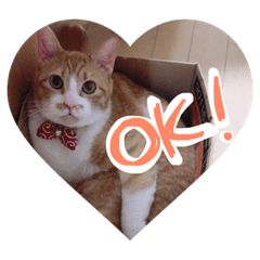 [LINEスタンプ] くうらぶ