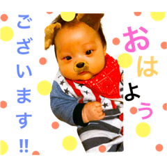 [LINEスタンプ] Daichi To  Taiga