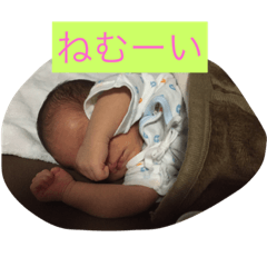 [LINEスタンプ] りっくんスタンプ0609の画像（メイン）