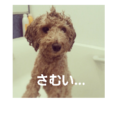 [LINEスタンプ] 砂子家のちっぷ