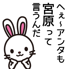 [LINEスタンプ] 宮原さんと宮原さんの友達専用