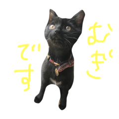 [LINEスタンプ] むぎ-1