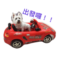 [LINEスタンプ] Xiao Wei is a cute dog