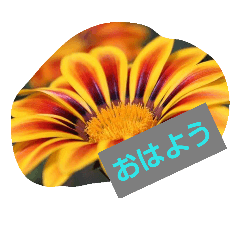 [LINEスタンプ] わすれなぐさ