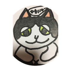 [LINEスタンプ] Cute Cat hina
