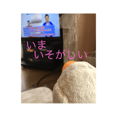 [LINEスタンプ] ころちゃん！