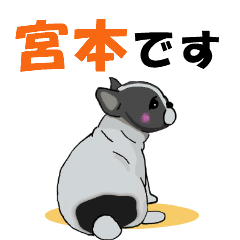 [LINEスタンプ] 宮本さんが使う名前スタンプ・子犬イラストの画像（メイン）