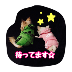 [LINEスタンプ] バニラとジュリエット