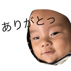 [LINEスタンプ] ちっちゃな怪獣