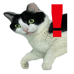 [LINEスタンプ] Lazy cat's life