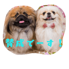 [LINEスタンプ] どらわたfamily