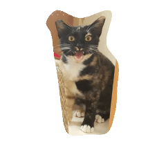 [LINEスタンプ] super  cute princess cat