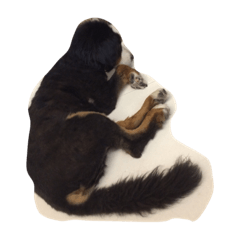 [LINEスタンプ] fatty house love