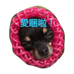 [LINEスタンプ] Black Pig OD