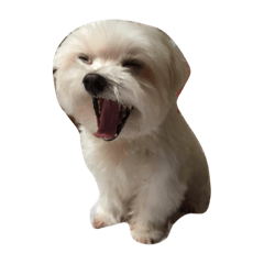 [LINEスタンプ] I love the dog