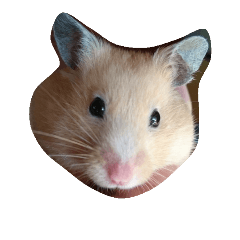[LINEスタンプ] キンクマハムスターだいふくスタンプ