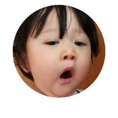 [LINEスタンプ] 加藤家のアイドル2
