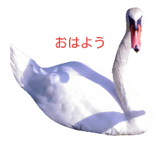 [LINEスタンプ] Swanstamp