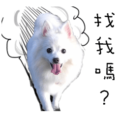 [LINEスタンプ] I"M QB