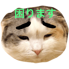 [LINEスタンプ] 耳垂れゆきちゃんの画像（メイン）