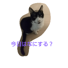 [LINEスタンプ] nekochanneru