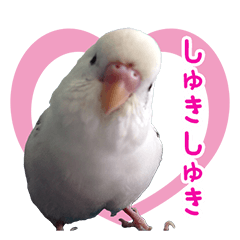 [LINEスタンプ] シマ鳥さんちの鳥等