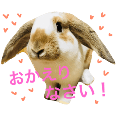 [LINEスタンプ] ぽぷちゃんらいふ