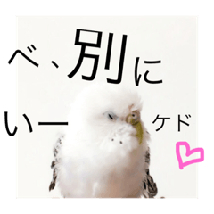 [LINEスタンプ] セキセイインコのチビです。