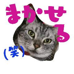 [LINEスタンプ] 紫音くん