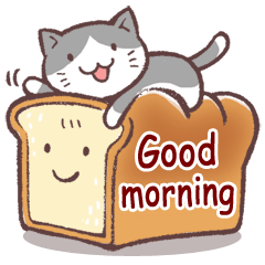 [LINEスタンプ] 毎日おはよう猫の画像（メイン）
