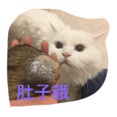 [LINEスタンプ] meow~~~~~の画像（メイン）