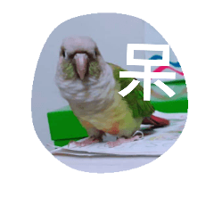 [LINEスタンプ] bird.....