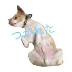 [LINEスタンプ] れいんぼむ