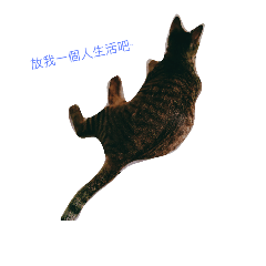 [LINEスタンプ] cute      cat