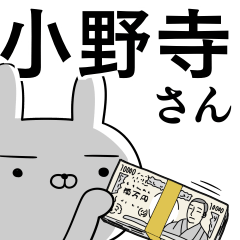 [LINEスタンプ] 小野寺さんの為の使えるスタンプ