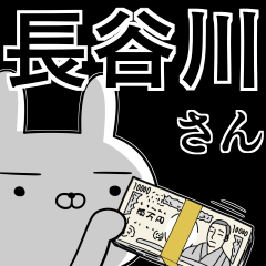 [LINEスタンプ] 長谷川さんの為の使えるスタンプ