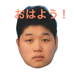 [LINEスタンプ] 行き過ぎるYSDの画像（メイン）