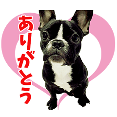 [LINEスタンプ] アーリーポン