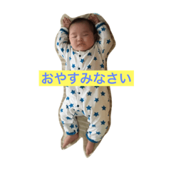 [LINEスタンプ] 毎日しょうくん