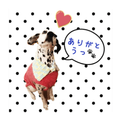 [LINEスタンプ] ダルメシアンのれーずん