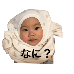 [LINEスタンプ] とっきーのまいにちの画像（メイン）